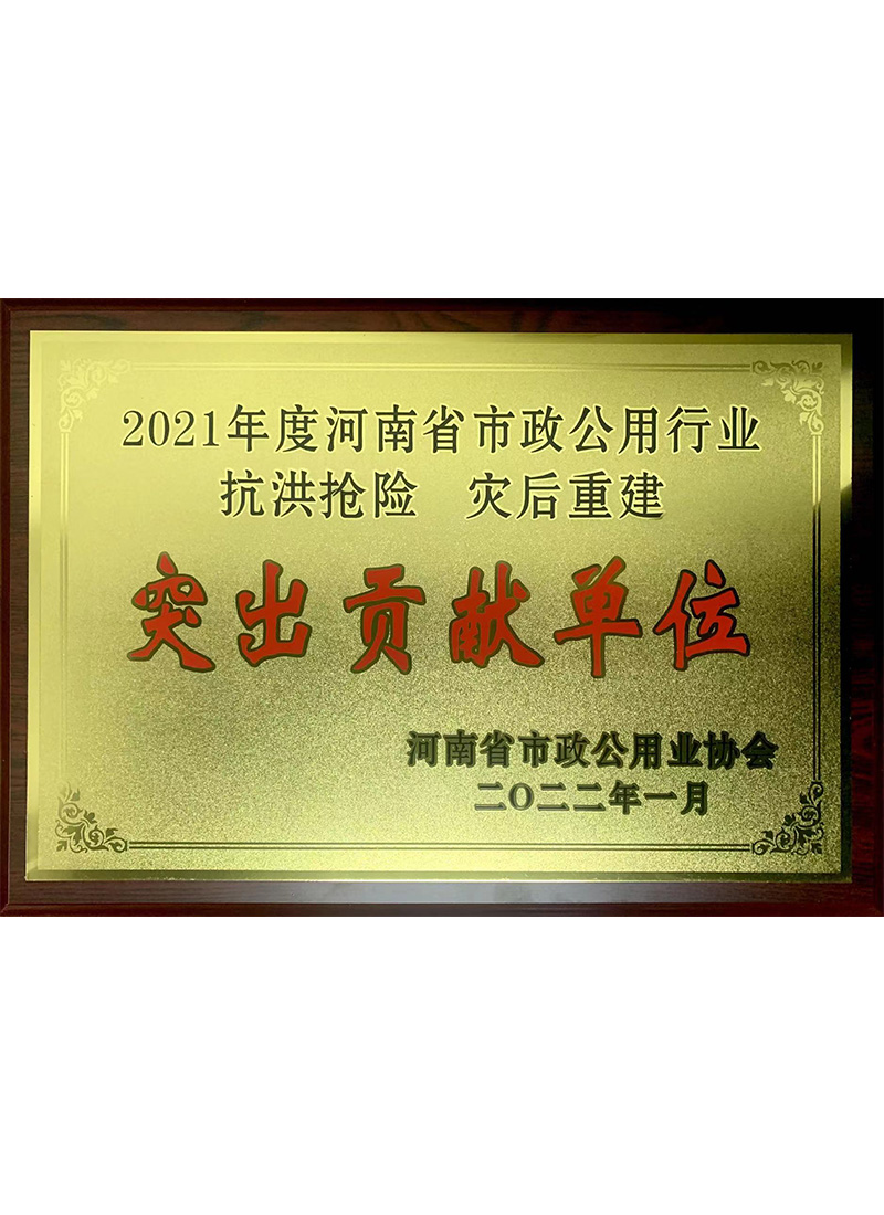 市政協會抗洪搶險突出貢獻
